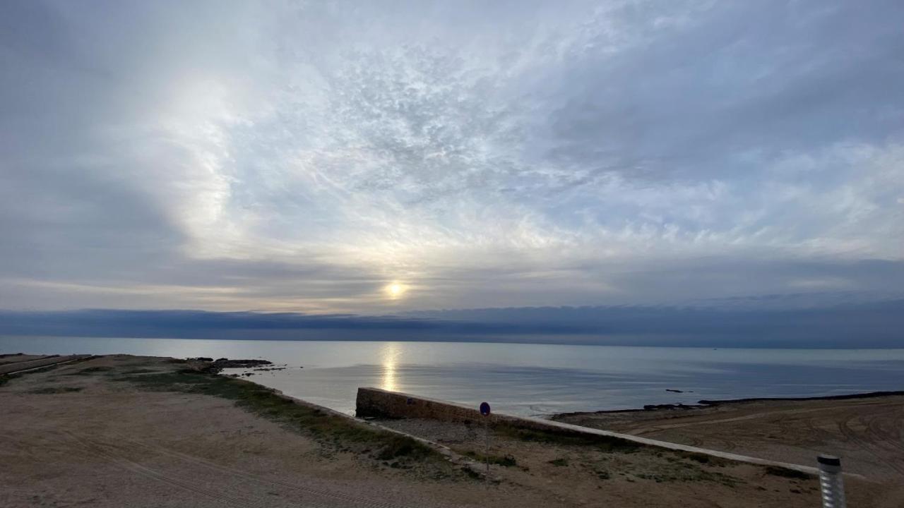 Beachfront Apartment - La Mata 托雷维耶哈 外观 照片