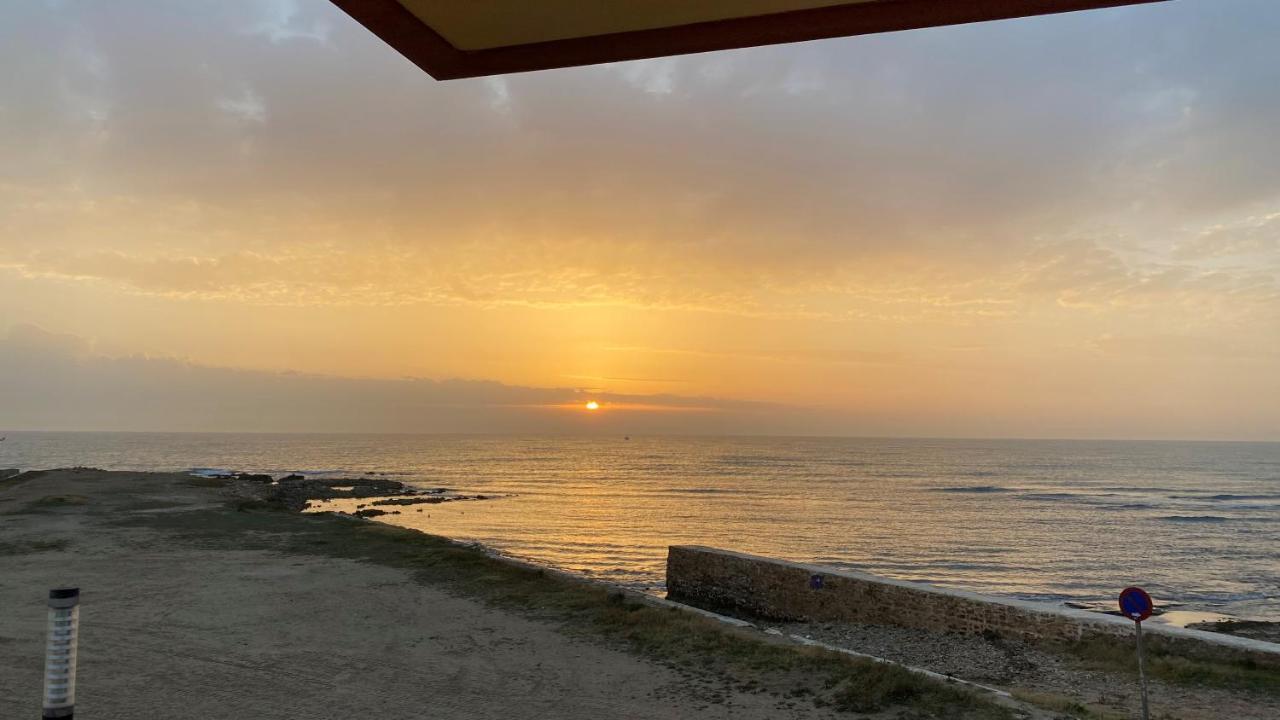 Beachfront Apartment - La Mata 托雷维耶哈 外观 照片